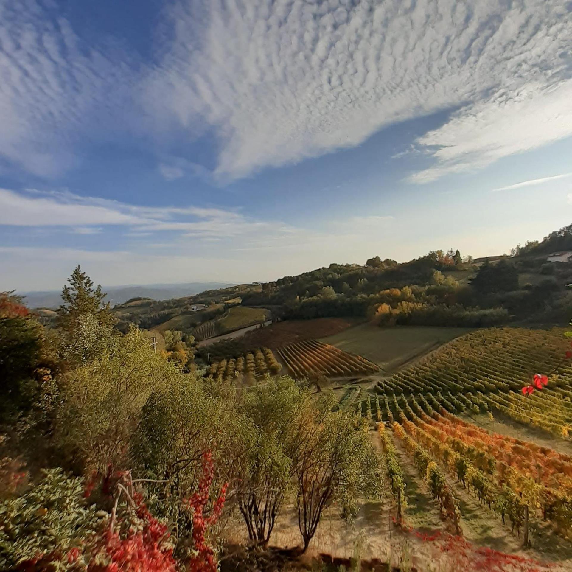 La Giribaldina Winery & Farmhouse Calamandrana Buitenkant foto
