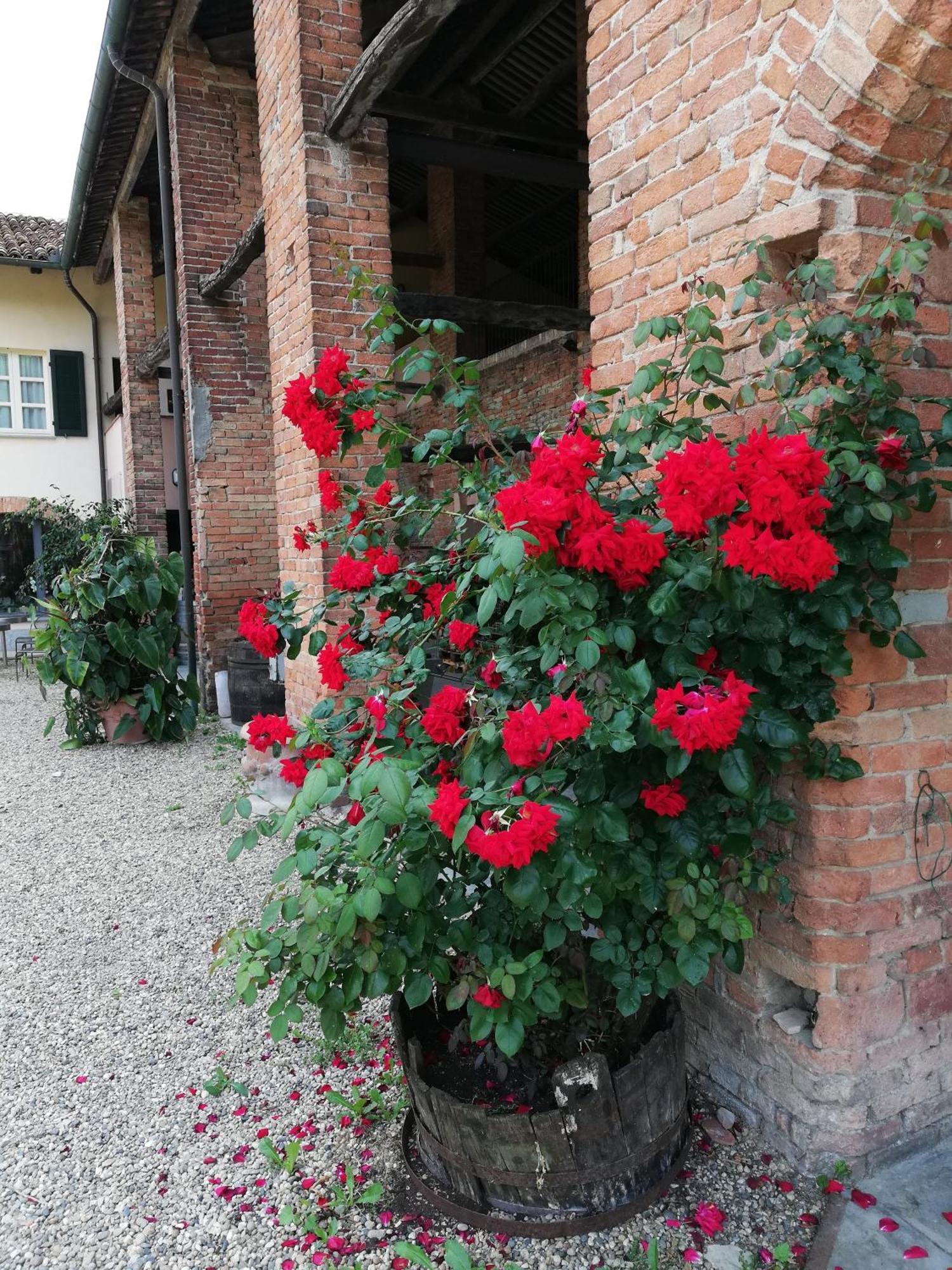 La Giribaldina Winery & Farmhouse Calamandrana Buitenkant foto